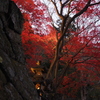 丹沢 大山寺３