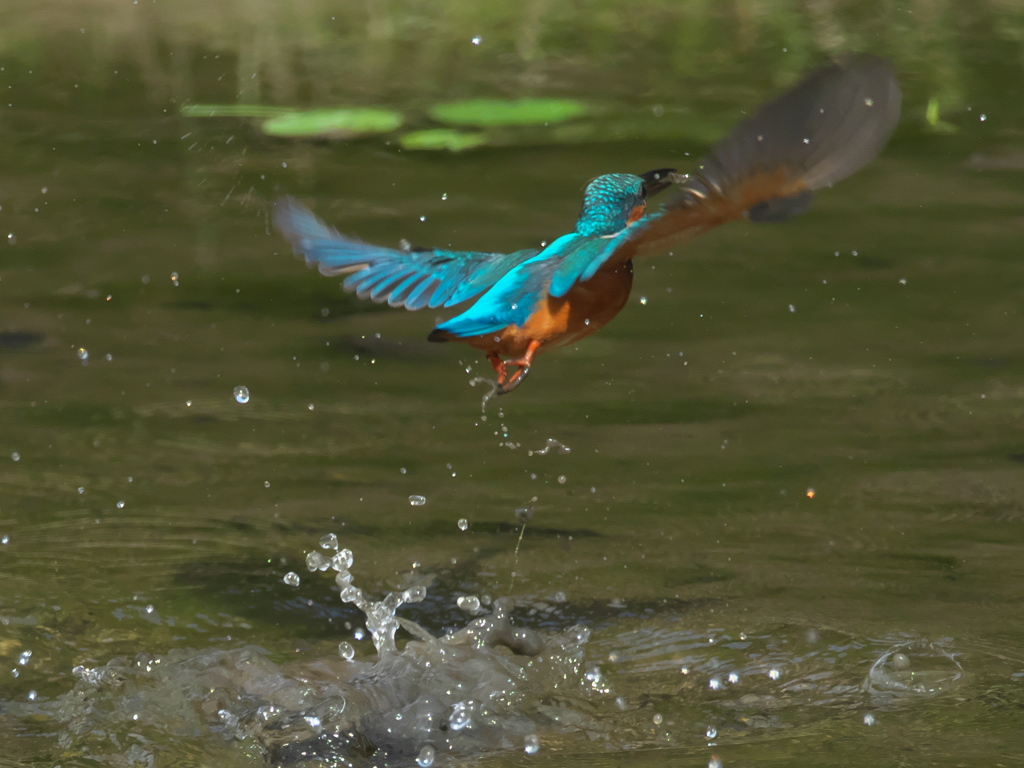 浮上 103-2（父親）
