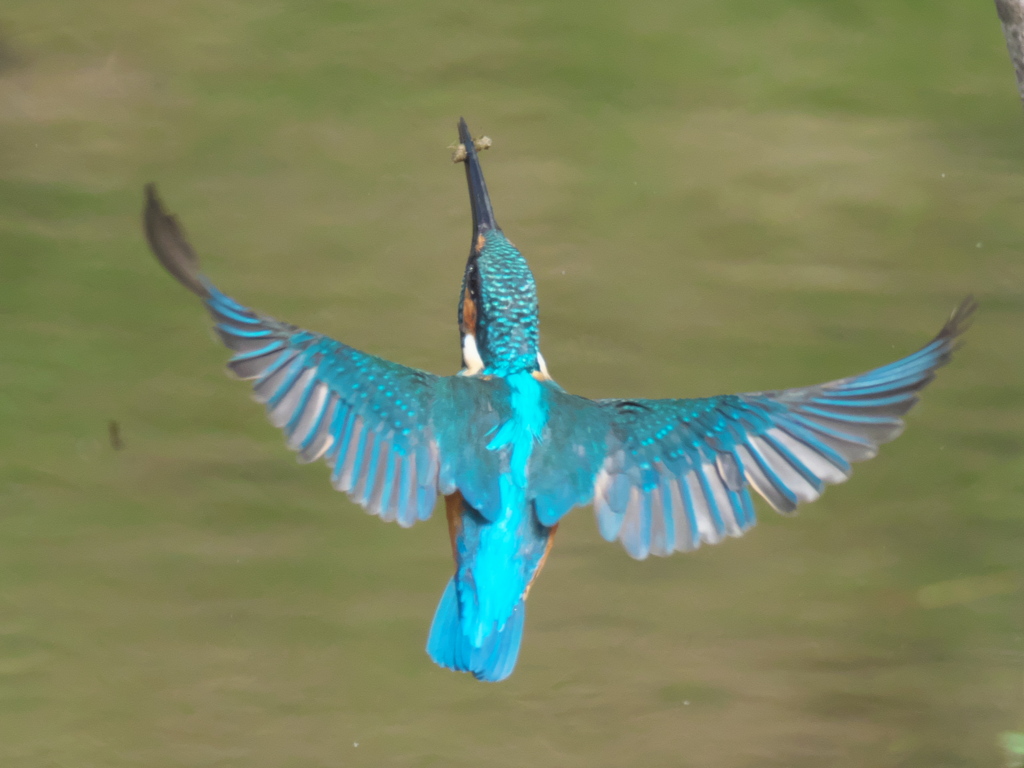 止り木へ 5-2（父親）