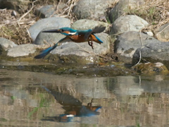 浮上 151-3（父親）