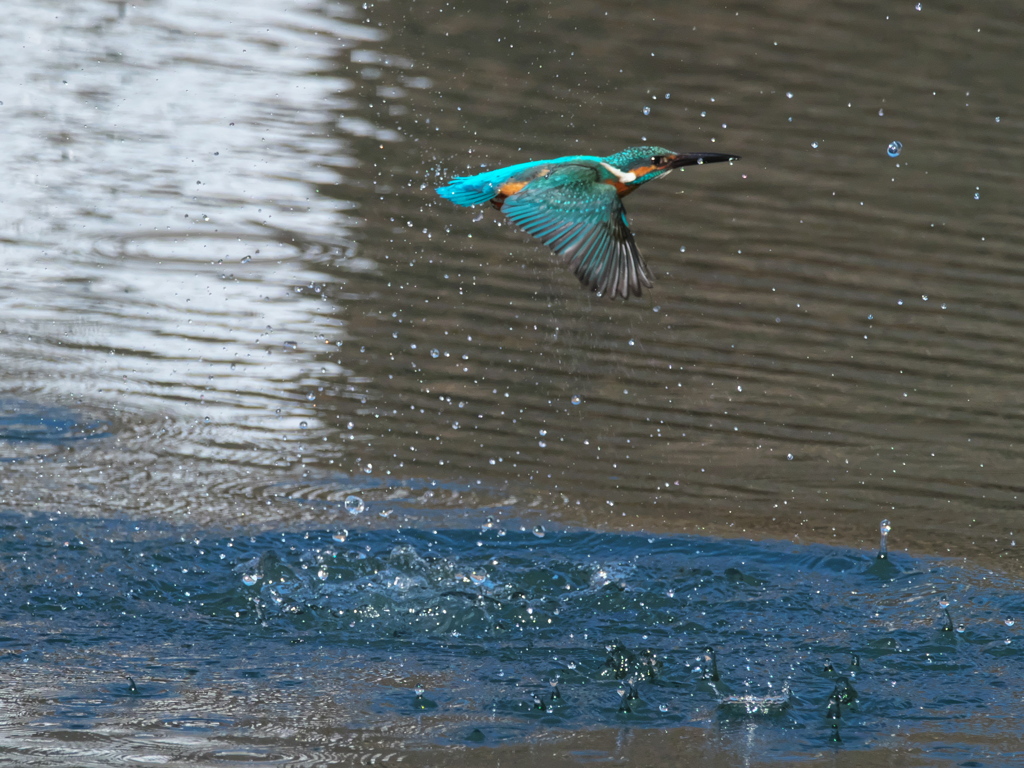 浮上 420-2（父親）