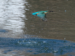 浮上 420-2（父親）