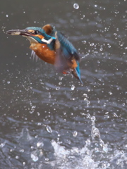 浮上 277-2（父親）