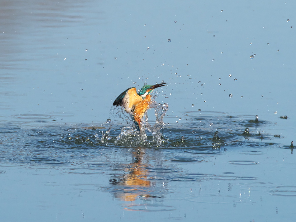 浮上 379-1（父親）