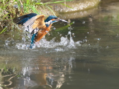 浮上 182-1（父親）