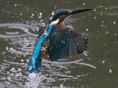 浮上 162（父親）