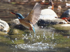 浮上 322-2（嫁候補）