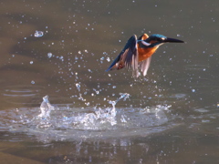 浮上 169-2（父親）