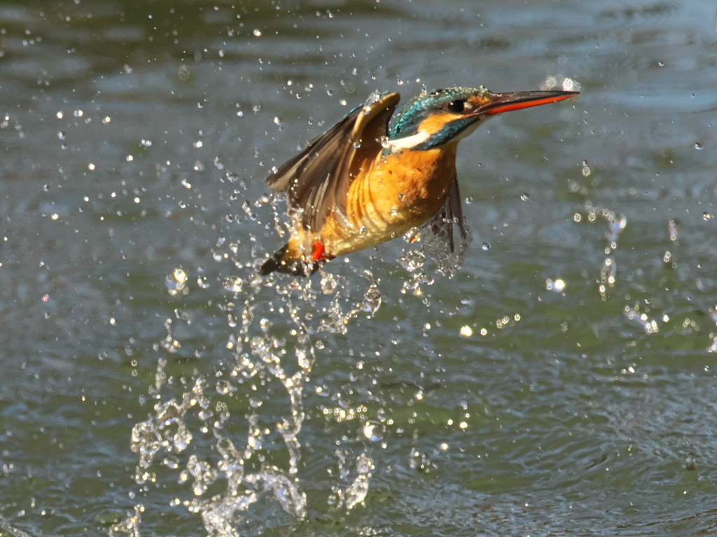 浮上 364（嫁候補）