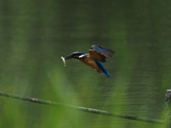 浮上 1283 浮上 1283