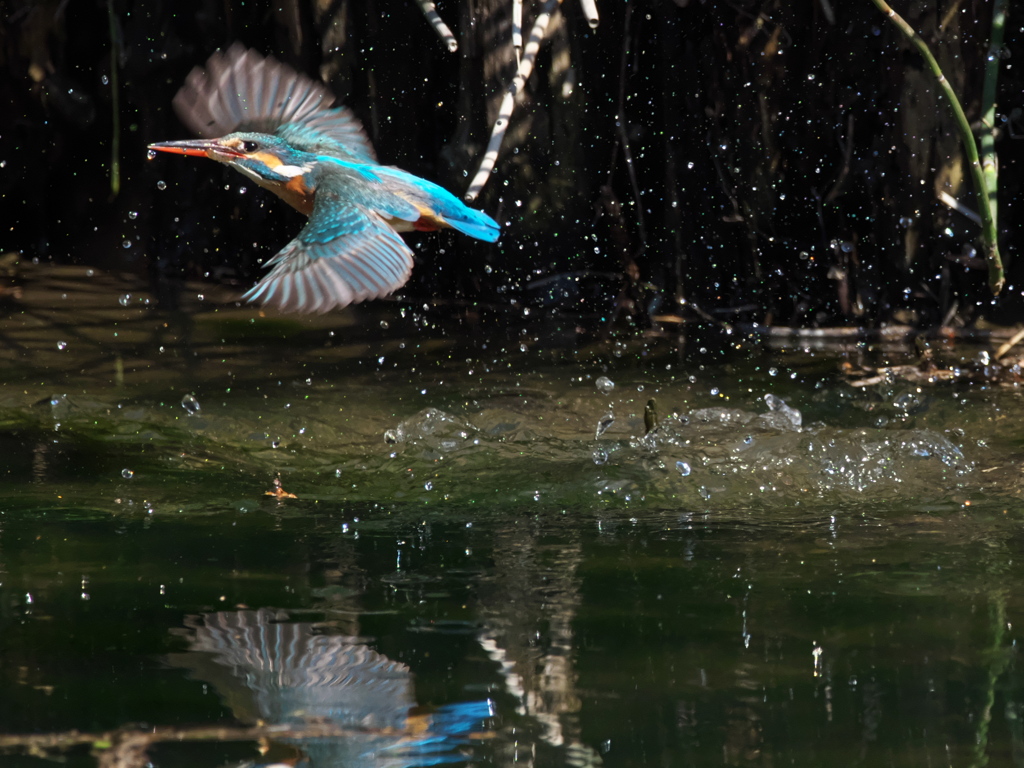 浮上 453-2（嫁候補）