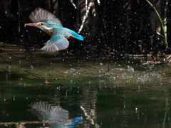 浮上 453-2（嫁候補）