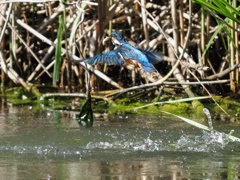 浮上 1285-2 浮上 1285-2