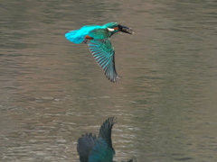 浮上 418（父親）