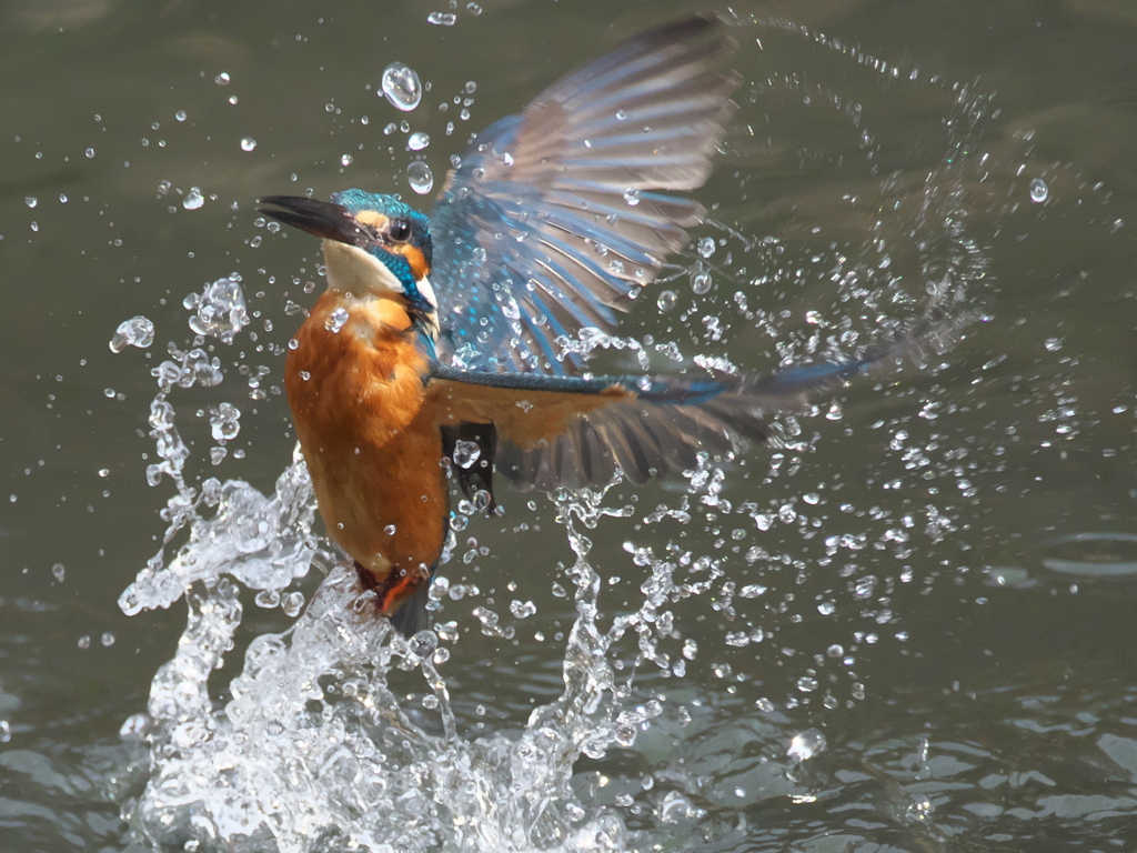 浮上 282（父親）