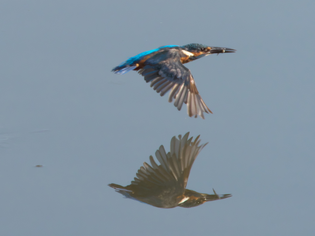 水平飛行 6（父親 水鏡）