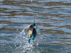 浮上 433（父親）