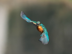 華麗なるターン 17-1