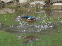 水浴び 4-2（父親）