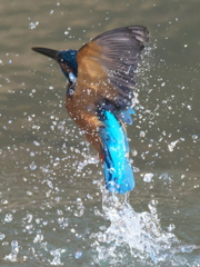 浮上 264（父親）