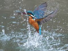 浮上 349-1（父親）