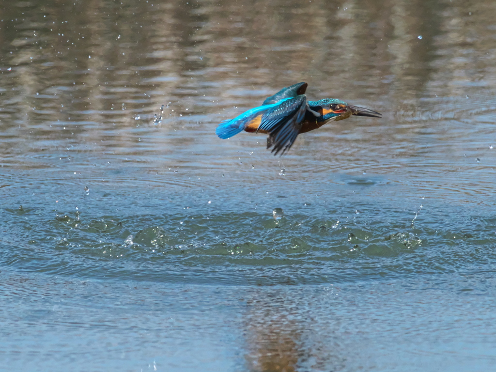 浮上 389（父親）