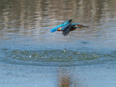 浮上 389（父親）