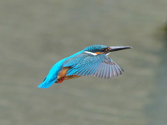 水平飛行 21（父親）