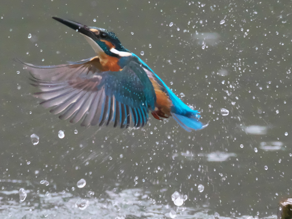 浮上 351-3（父親）