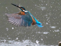 浮上 351-3(父親) 浮上 351-3(父親)