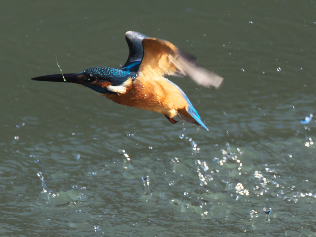 浮上 132（父親）