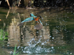 浮上 454（嫁候補）
