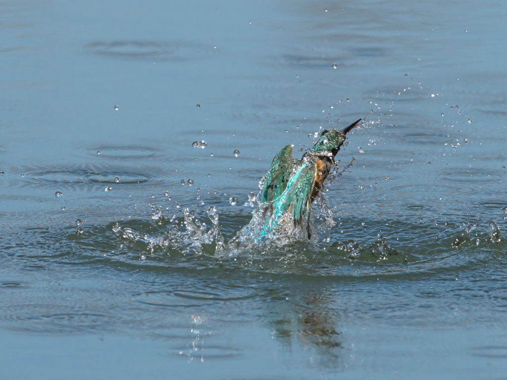 浮上 386-1（嫁候補）