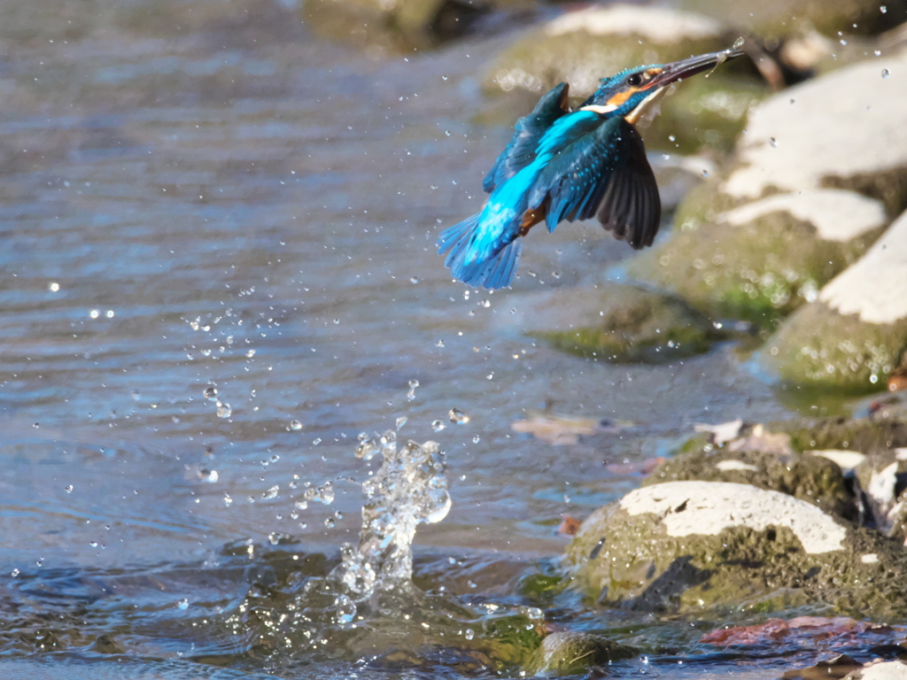 浮上 392（父親）