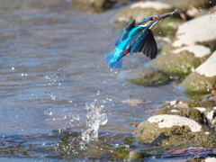 浮上 392（父親）