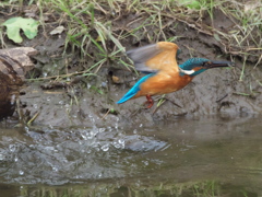 浮上 105-3（父親）