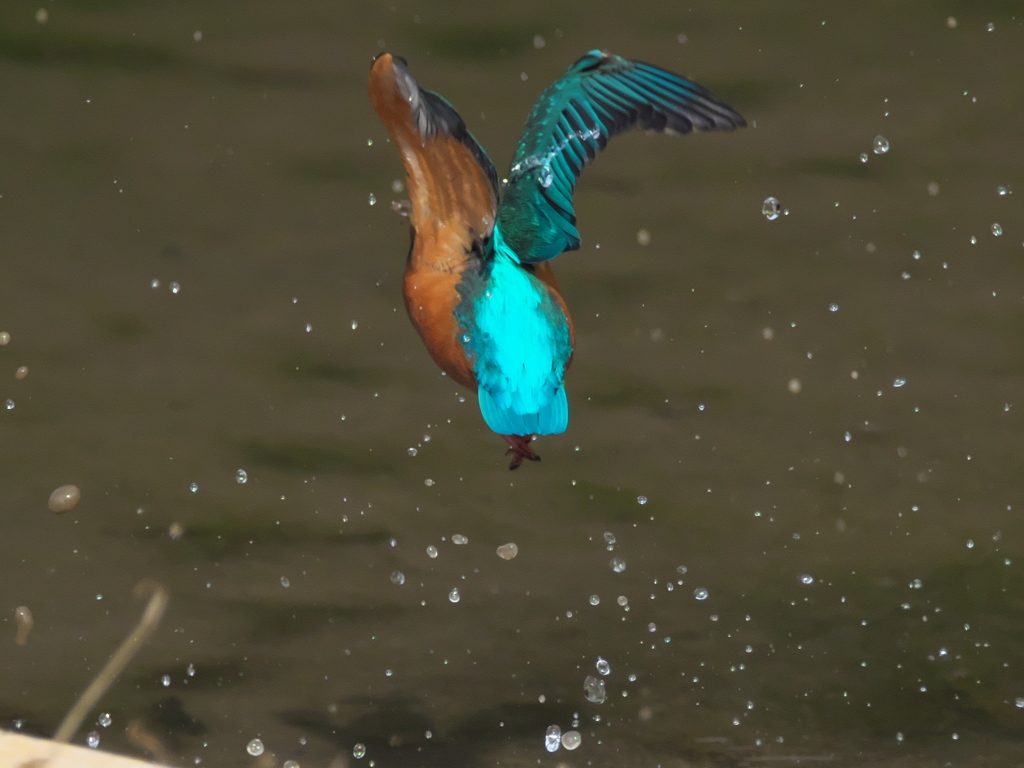 浮上 124（父親）