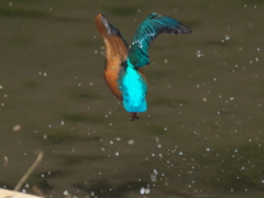 浮上 124（父親）