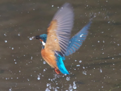 浮上 109（父親 霧雨）