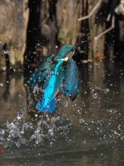 浮上 189-3（父親）