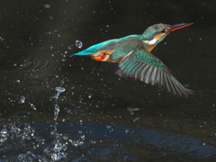 浮上 321-2（嫁候補）