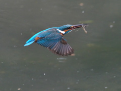 浮上 399-2（父親）