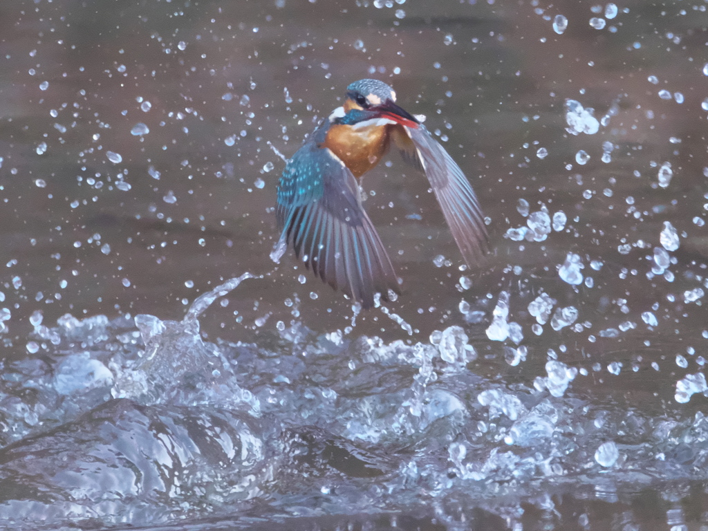 浮上 226（嫁候補）