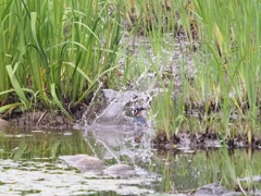 ウォーターカーテンの中 1