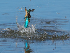 浮上 367-1（父親）