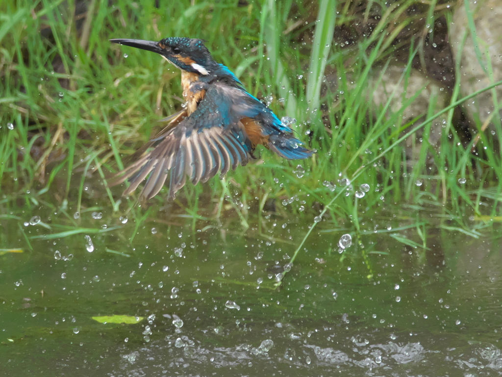 浮上 57-3（父親）
