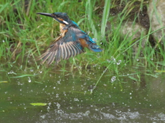 浮上 57-3（父親）