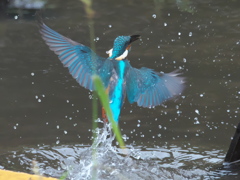浮上 114-2（父親 霧雨）