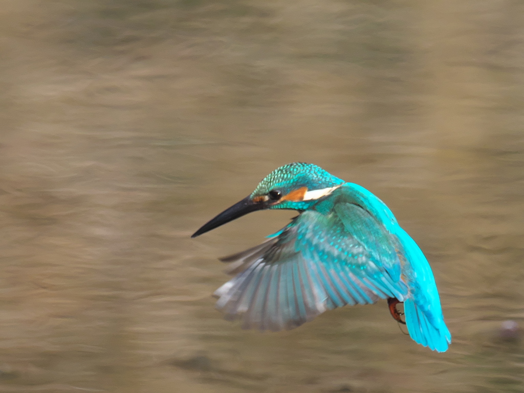 飛び込みシーケンス 29-1（父親）