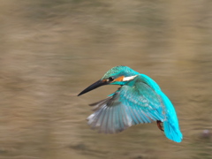 飛び込みシーケンス 29-1（父親）